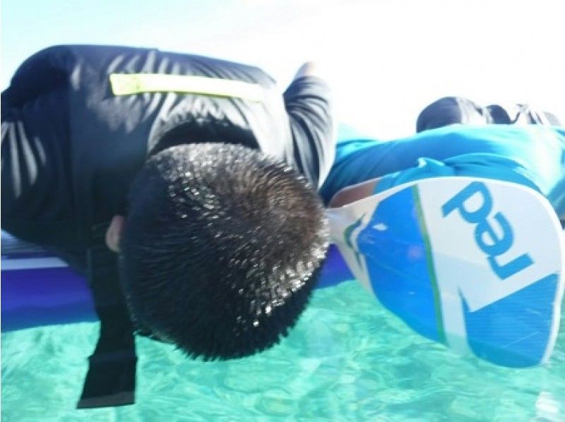 【 Okinawa · Miyakojima 】 Great for Irabu Island without rental cars! SUP & Snorkel & Sightseeing Guide (with pickup and meal)の紹介画像
