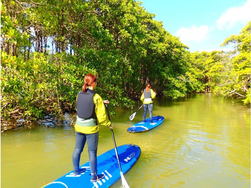 [沖縄&middot;Bonbunshigawa]在亞熱帶河流的SUP免費叢林巡航☆冬天的衣服租賃★11月〜僅限四月★の紹介画像