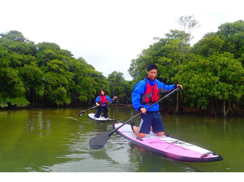 [沖縄&middot;Bonbunshigawa]在亞熱帶河流的SUP免費叢林巡航☆冬天的衣服租賃★11月〜僅限四月★の紹介画像