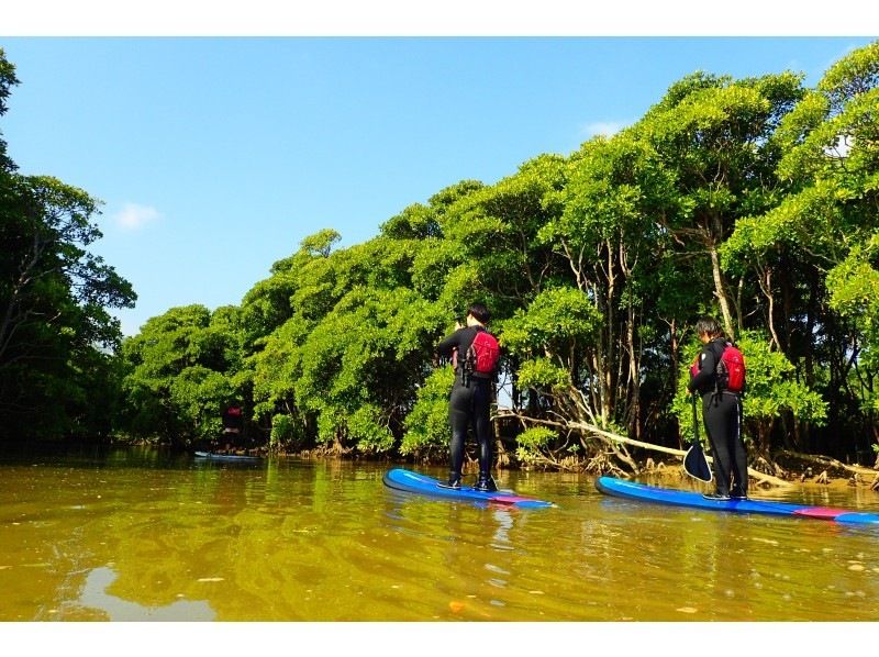 [沖縄&middot;Bonbunshigawa]在亞熱帶河流的SUP免費叢林巡航☆冬天的衣服租賃★11月〜僅限四月★の紹介画像
