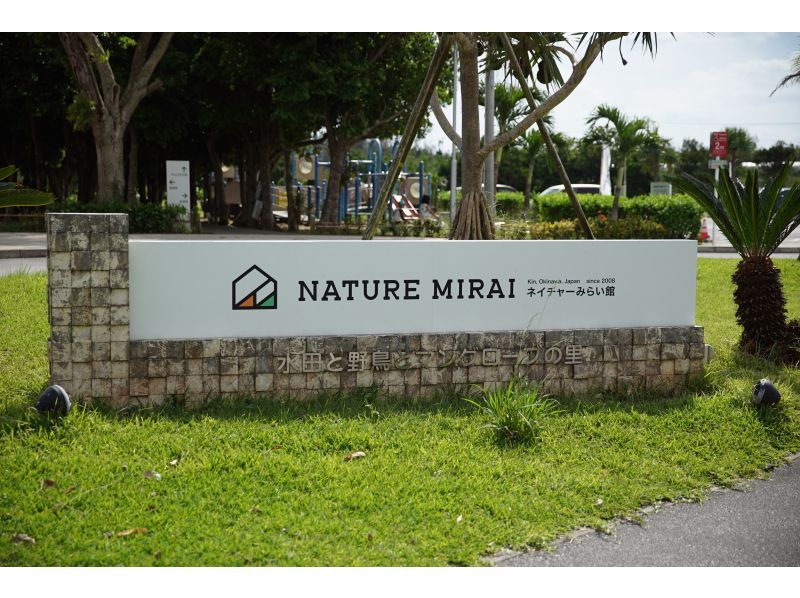 [沖縄&middot;Bonbunshigawa]在亞熱帶河流的SUP免費叢林巡航☆冬天的衣服租賃★11月〜僅限四月★の紹介画像