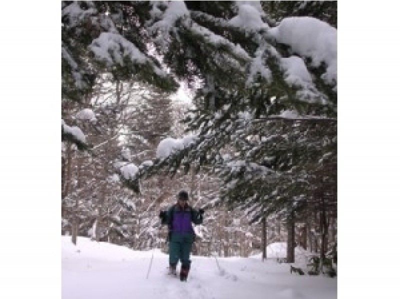 [北海道利iri]嚮導陪伴！雪上徒步冬季島嶼嚮導約章（半天課程）年齡10歲以上即可參加！の紹介画像