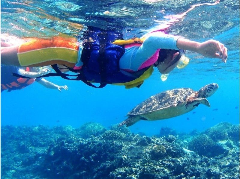 Cerulean Blue OKINAWA 贊助的行程 孩子們在渡嘉敷海灘與海龜一起浮潛