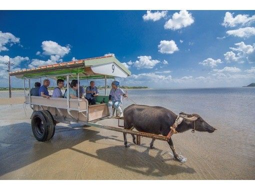 西表島 1日 充滿偏遠島嶼的魅力 由布島觀光和世界遺產 紅樹林su或獨木舟從西表島選擇 照片數據免費 Activityjapan