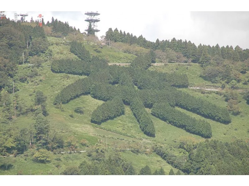 【静岡・掛川市】世界農業遺産　茶草場農法による絶景茶畑でお茶摘み体験＆摘みたて茶葉の天ぷら作り体験＆BBQランチ