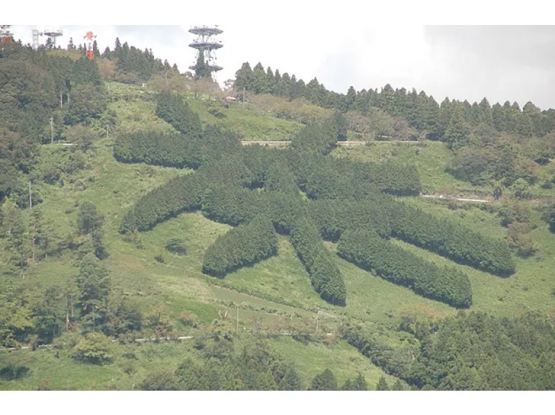 【静岡・掛川市】世界農業遺産　茶草場農法による絶景茶畑でお茶摘み体験＆摘みたて茶葉の天ぷら作り体験＆BBQランチの紹介画像