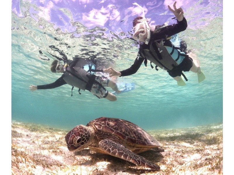 [Okinawa-Miyakojima] 1 group charter. Sea turtle Snorkeling! Nemo and coral can be seen.