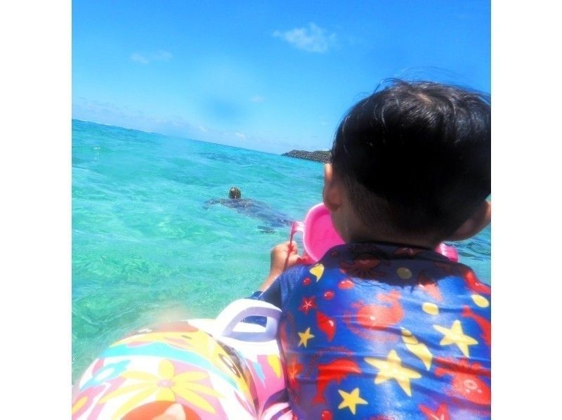 【 冲绳 · 宫古岛 】1组包机★海龟浮潜 ！可以看到Nemo和珊瑚♪3岁~OKの紹介画像