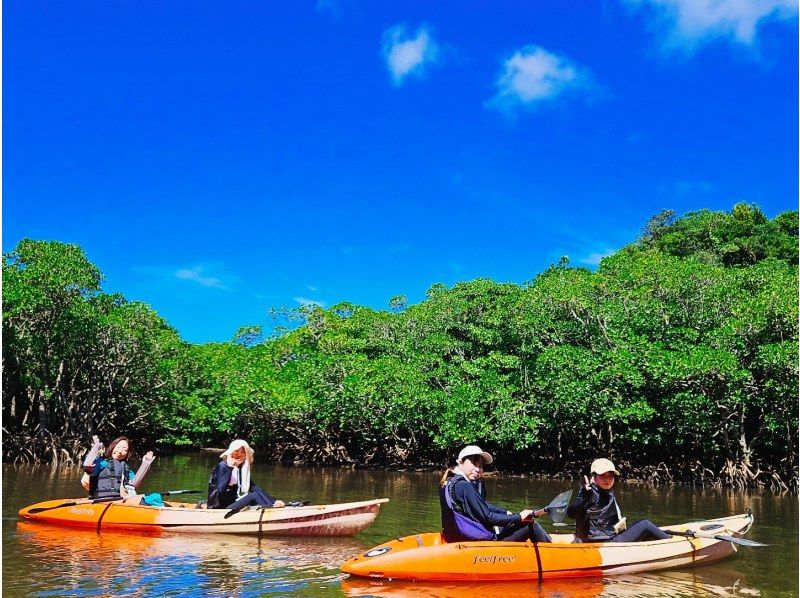 [Okinawa・Ishigaki island] Unexplored! mangrove Kayak& River trekking
