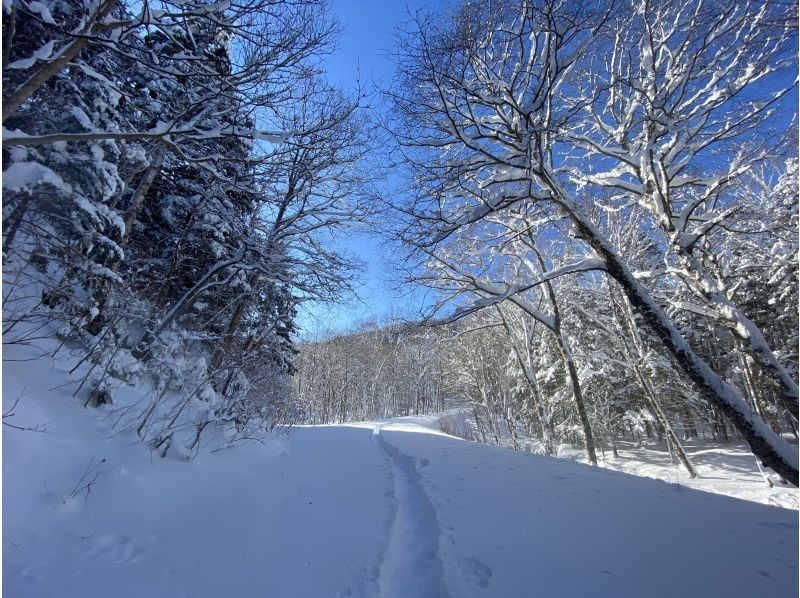WS JR知床斜里駅発・知床　冬の一日満喫ツアー森歩き絶景スノーシュー付帯【無料送迎付】の紹介画像