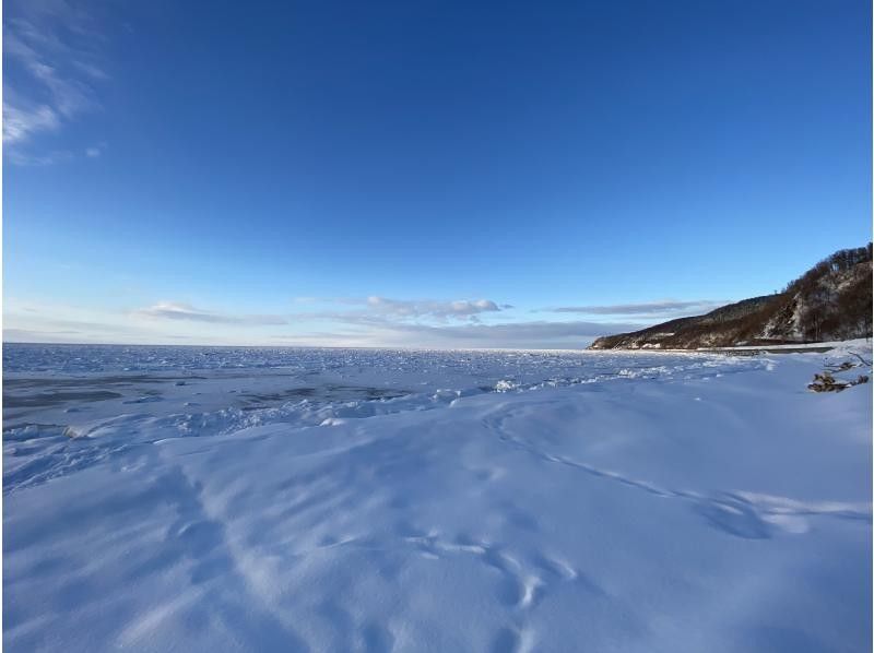 WS JR知床斜里駅発・知床　冬の一日満喫ツアー森歩き絶景スノーシュー付帯【無料送迎付】の紹介画像