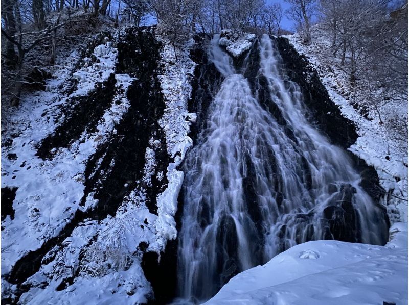 WS JR知床斜里駅発・知床　冬の一日満喫ツアー森歩き絶景スノーシュー付帯【無料送迎付】の紹介画像