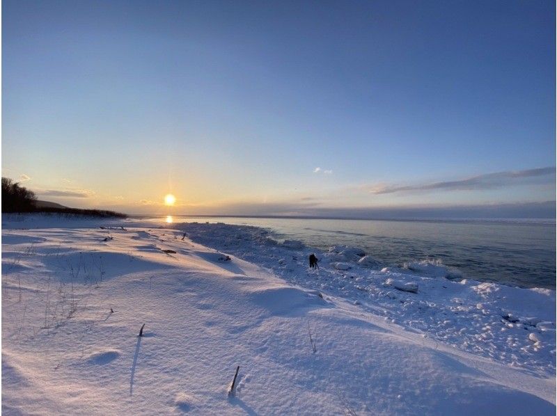 WS JR知床斜里駅発・知床　冬の一日満喫ツアー森歩き絶景スノーシュー付帯【無料送迎付】の紹介画像