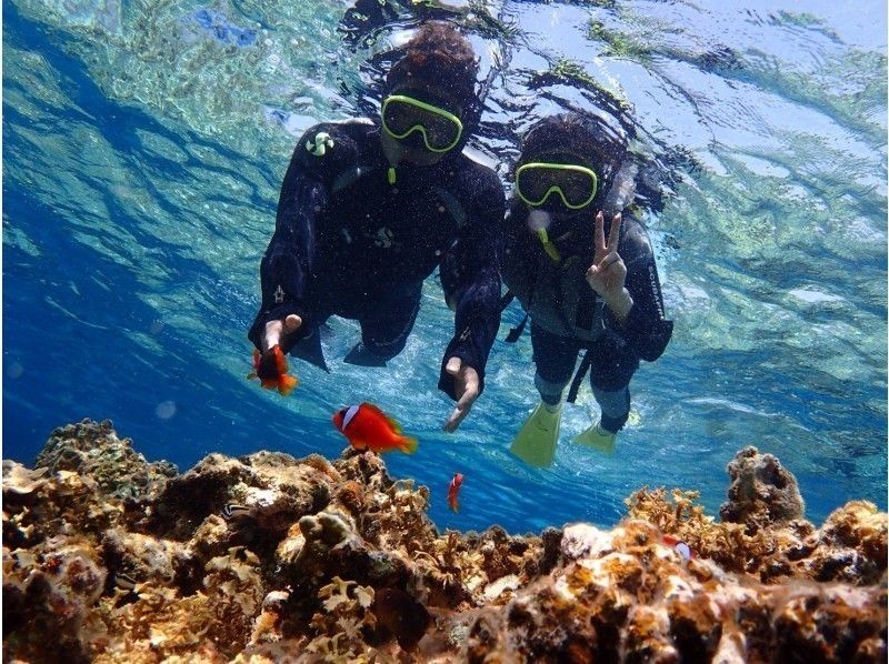 【沖縄・石垣・シュノーケリング】青い海と綺麗なサンゴに癒されよう！１日コースの紹介画像