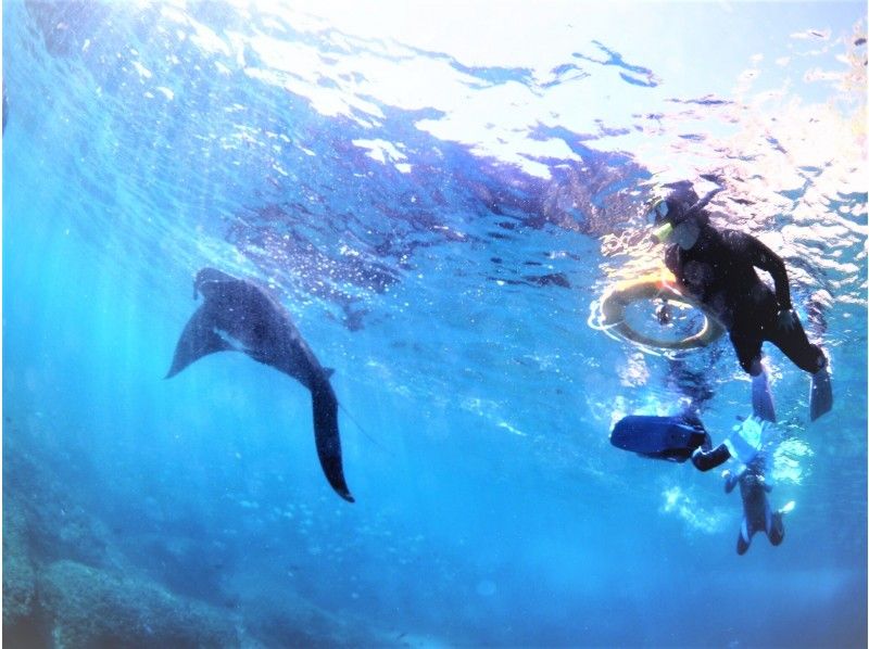 NOVA DIVE RESORT 石垣の割引プラン