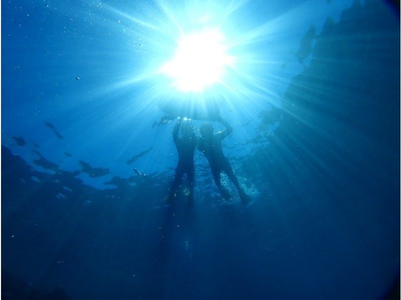 「スーパーサマーセール2024」【沖縄・青の洞窟】ボートだからこそ高確率♪体験ダイビングorファンダイビング♪動画＆写真プレゼント♪の紹介画像