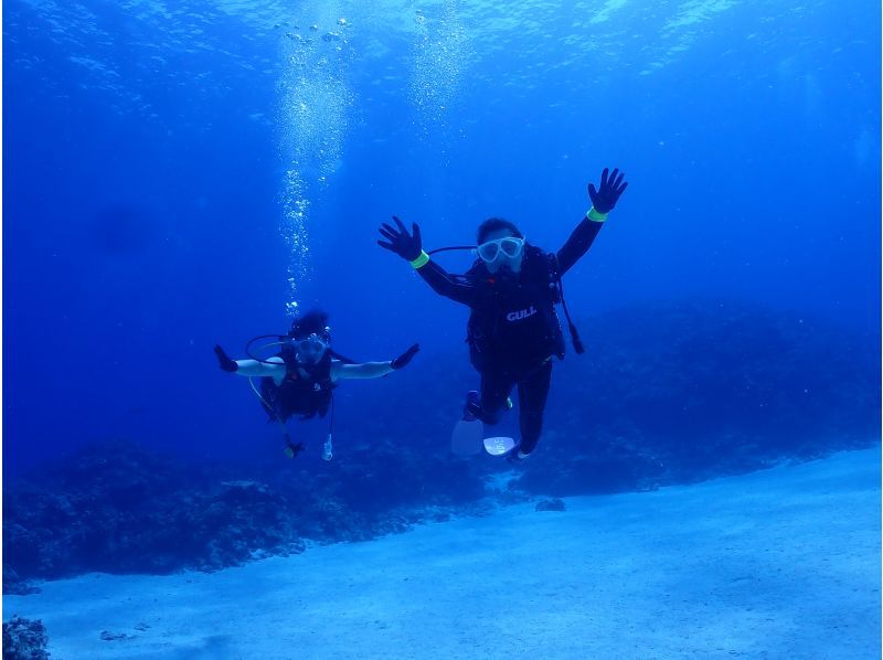 [Okinawa ・ West coast】 ★ West coast boat fan Diving(1 dive)