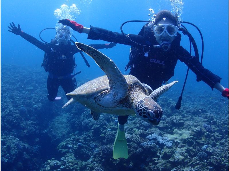 沖縄ダイビング HIROseaの割引プラン