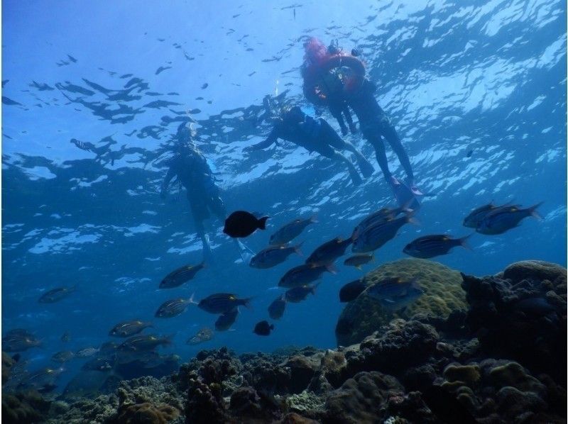 【 冲绳 · 宫古岛 】1对包机★在有很多珊瑚和鱼的Irabujima海中浮潜 ！从3岁开始！の紹介画像