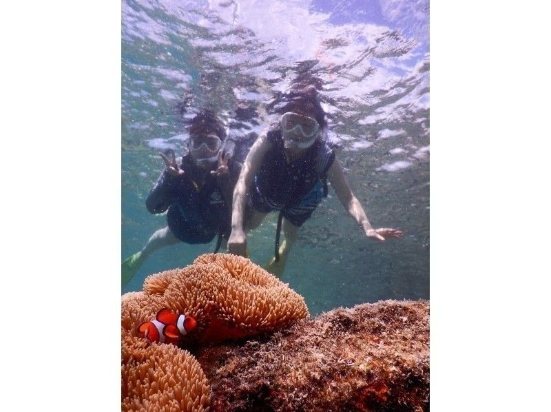 【 沖縄 · 宮古島 】1對包機★在有很多珊瑚和魚的Irabujima海中浮潛 ！從3歲開始！の紹介画像