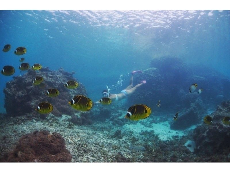 【 沖縄 · 宮古島 】1對包機★在有很多珊瑚和魚的Irabujima海中浮潛 ！從3歲開始！の紹介画像