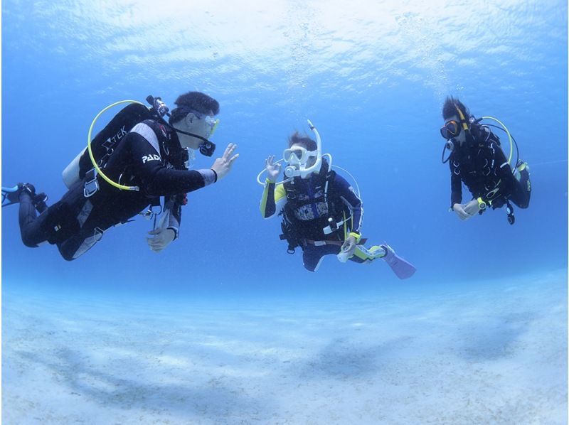 【Shizuoka / Shimizu】Get PADI C card in 2 days! Scuba Diver Course!