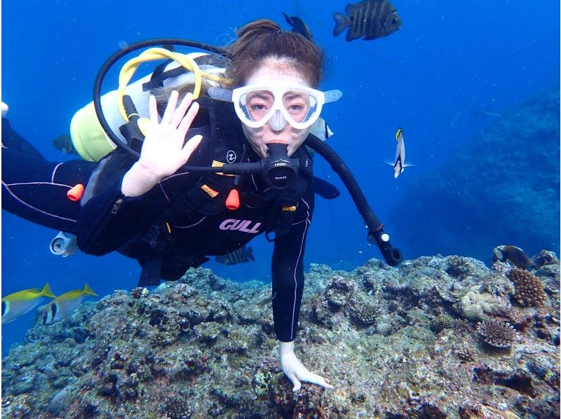 [Okinawa ・ West Coast】 ★ West Coast Beach Fan Diving(1 dive)