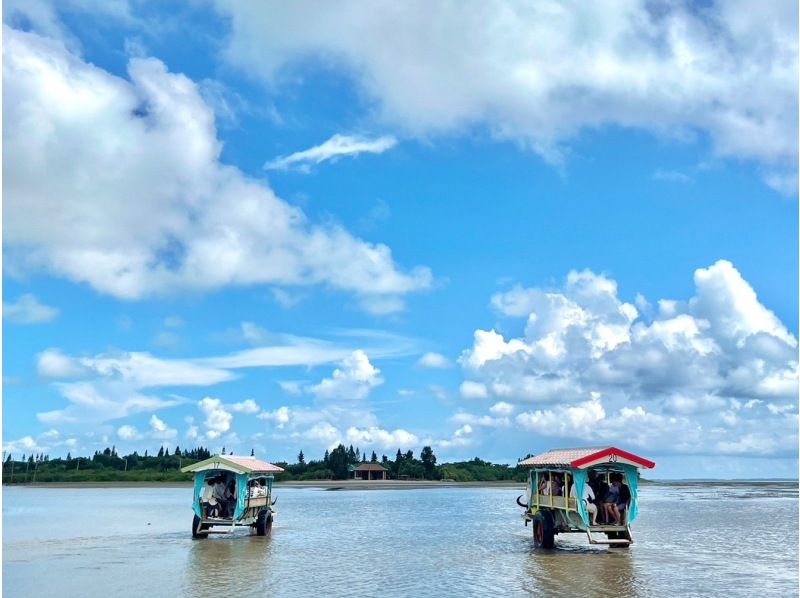 [Iriomote Island/1 day] Complete tour of 3 islands from Iriomote Island! Mangrove SUP/canoeing & landing on Barasu Island & sightseeing on Yubu Island [free photos]の紹介画像