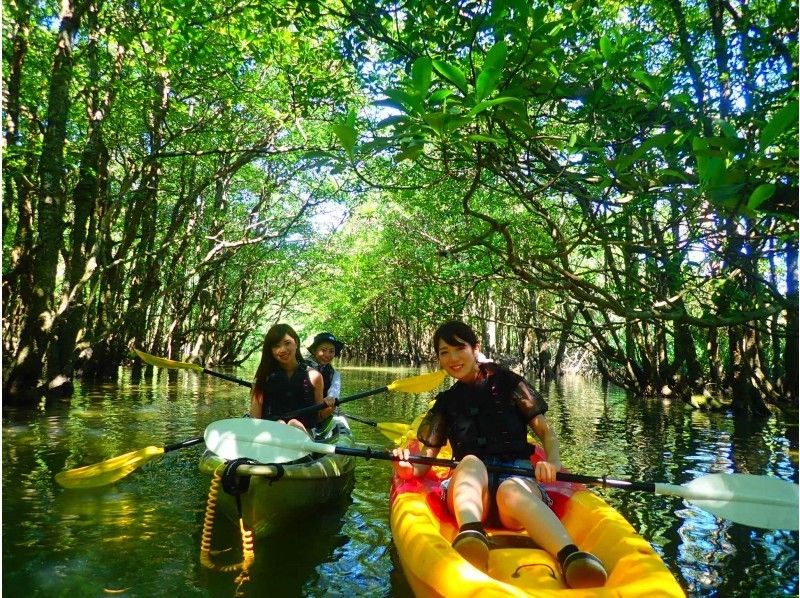 Popular Iriomote Island activity rankings & reviews of recommended tour companies!