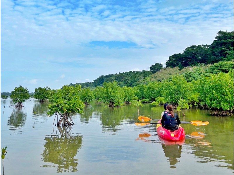 [Iriomote Island/1 day] Complete tour of 3 islands from Iriomote Island! Mangrove SUP/canoeing & landing on Barasu Island & sightseeing on Yubu Island [free photos]の紹介画像