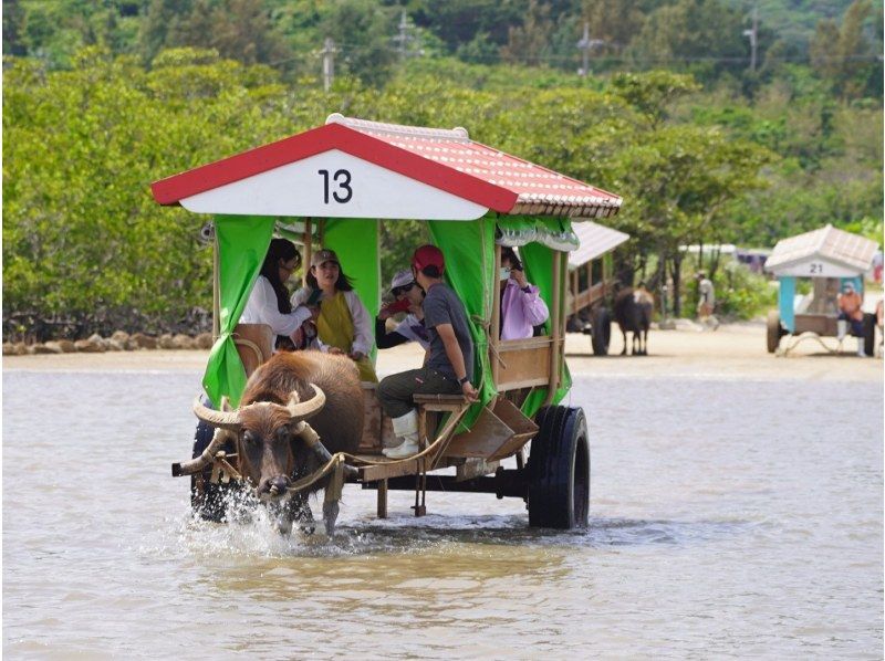 [Iriomote Island/1 day] Complete tour of 3 islands from Iriomote Island! Mangrove SUP/canoeing & landing on Barasu Island & sightseeing on Yubu Island [free photos]の紹介画像