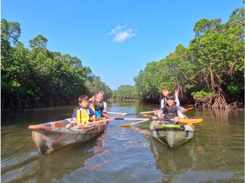 SALE! [Iriomote Island/1 day] Complete 3 island tour from Iriomote Island! Mangrove SUP/canoeing & landing on Barasu Island & sightseeing on Yubu Island [free photos]の紹介画像