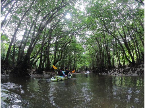 西表島 1日 世界自然遺産登録地をコンプリート 西表島完全制覇セット 写真データ無料 アクティビティジャパン