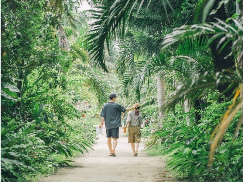 SALE! [Iriomote Island/1 day] Complete 3 island tour from Iriomote Island! Mangrove SUP/canoeing & landing on Barasu Island & sightseeing on Yubu Island [free photos]の紹介画像