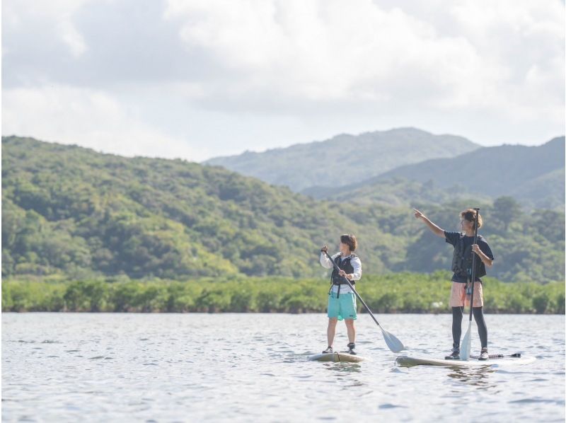 [Iriomote Island/1 day] World Heritage “Sea x River” 2 major standard courses (snorkeling & mangrove SUP or canoe) [Free photo data] Spring sale underwayの紹介画像