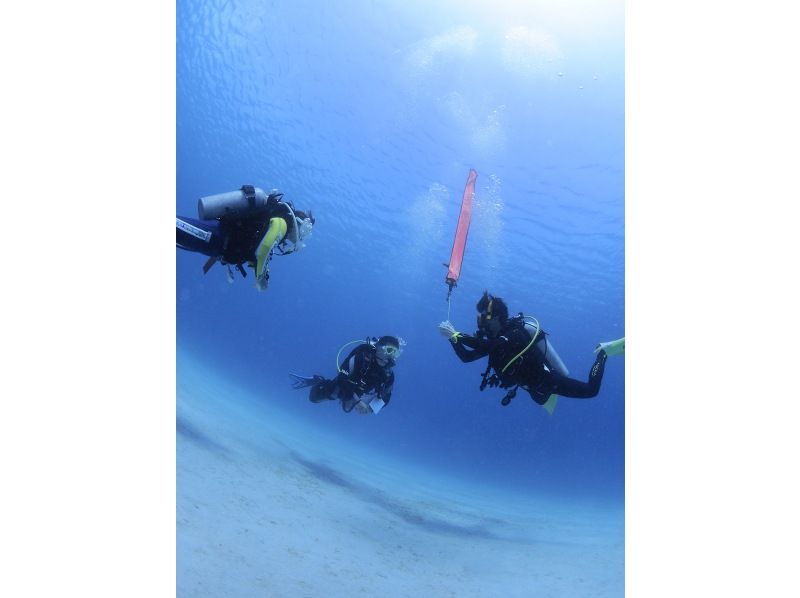 [ 静冈 -沼] 深潜资格证取得 ☆PADI探险潜水员课程（1 日之间）の紹介画像