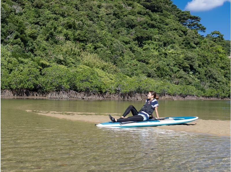 [Iriomote Island/Half-day] Head to "Mizuochi Falls"! Choose from SUP/Canoeing on the World Heritage Site of Iriomote Island [Free photo data]の紹介画像