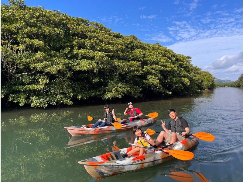 [Iriomote Island/Half-day] Head to "Mizuochi Falls"! Choose from SUP/Canoeing on the World Heritage Site of Iriomote Island [Free photo data]の紹介画像