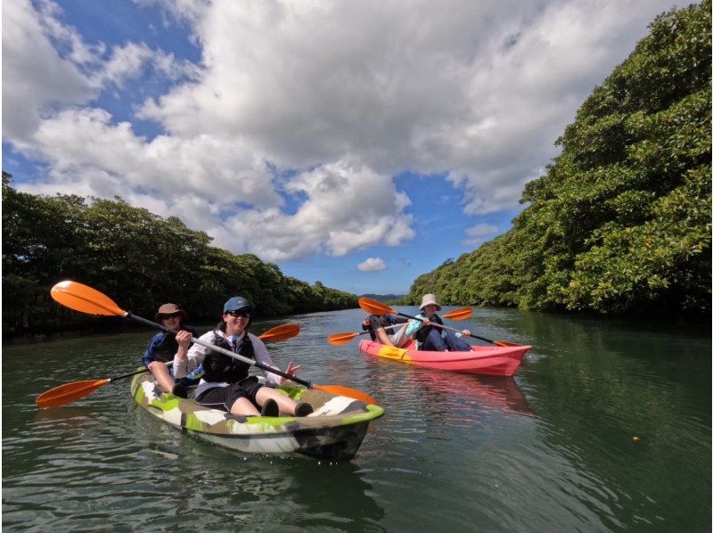 【이리 오모테 섬 / 반나절】 「산가라 폭포」를 목표로! 세계 유산 이리 오모테 섬에서 선택할 수있는 SUP / 카누 & 트레킹 [사진 데이터 무료]の紹介画像