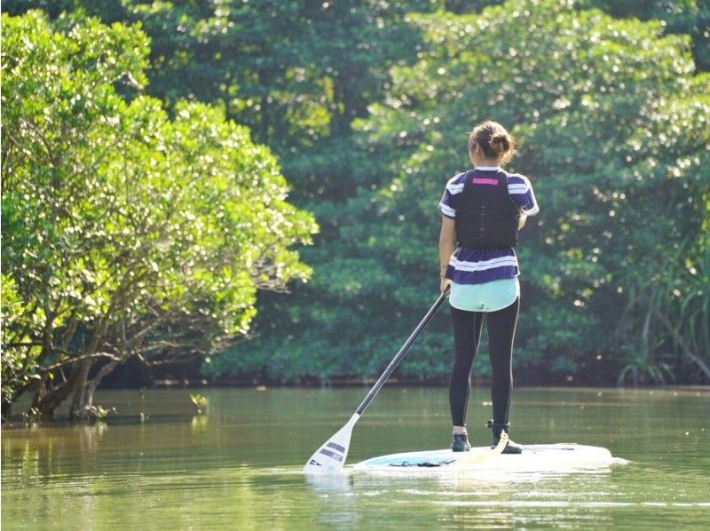 [Iriomote Island/Half-day] Head to "Mizuochi Falls"! Choose from SUP/Canoeing on the World Heritage Site of Iriomote Island [Free photo data]の紹介画像