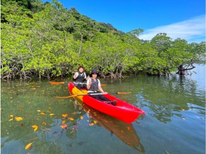 [西表島/半天]前往水落瀑布！選擇在紅樹林中體驗立槳衝浪，或在世界遺產西表島劃獨木舟 [免費照片資料]の紹介画像