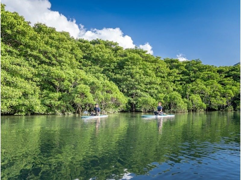 【이리 오모테 섬 / 반나절】 「산가라 폭포」를 목표로! 세계 유산 이리 오모테 섬에서 선택할 수있는 SUP / 카누 & 트레킹 【사진 데이터 무료】 SALE!の紹介画像