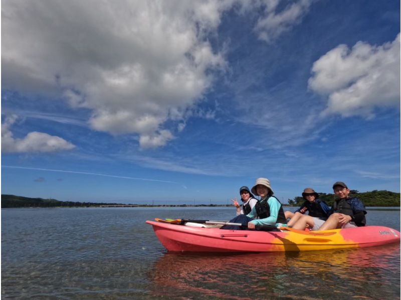 [Iriomote Island/Half-day] Head to "Mizuochi Falls"! Choose from SUP/Canoeing on the World Heritage Site of Iriomote Island [Free photo data]の紹介画像