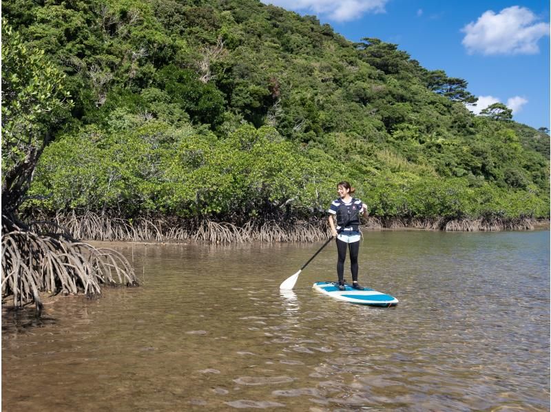 [西表島/半天]前往水落瀑布！選擇在紅樹林中體驗立槳衝浪，或在世界遺產西表島劃獨木舟 [免費照片資料]の紹介画像