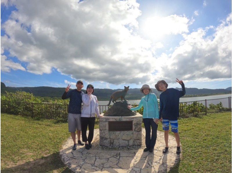 [Iriomote Island/Half-day] Head to "Mizuochi Falls"! Choose from SUP/Canoeing on the World Heritage Site of Iriomote Island [Free photo data]の紹介画像