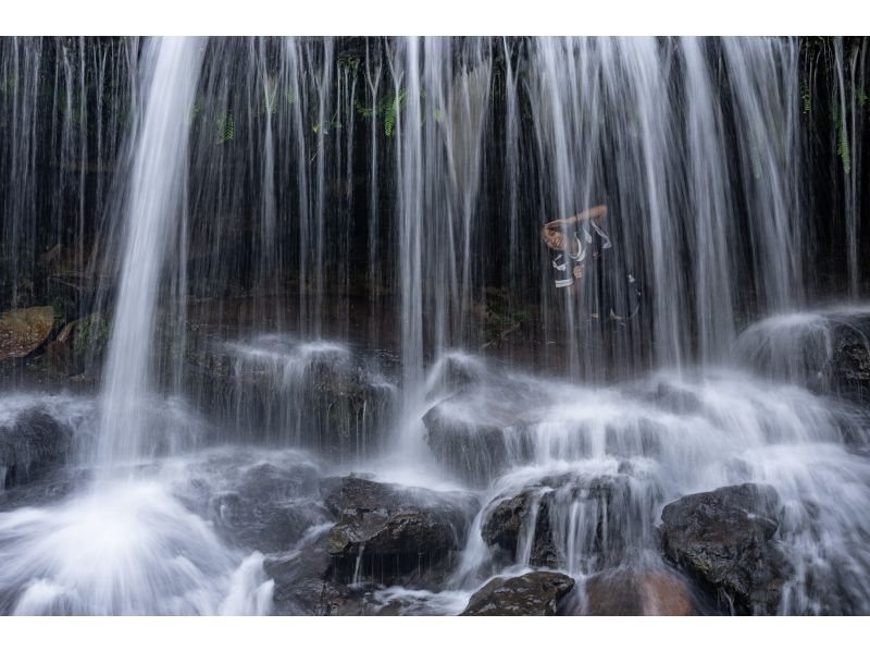 [西表岛/半天]以“桑加拉瀑布”为目标！世界遗产西表岛SUP/独木舟和徒步旅行[免费照片数据]の紹介画像