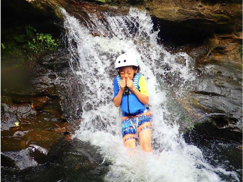 [Iriomote Island/Half-day] Jump into the river and enjoy natural athletics and a spectacular observation deck! Splash Canyoning (down the valley) [Photo data/equipment free]の紹介画像