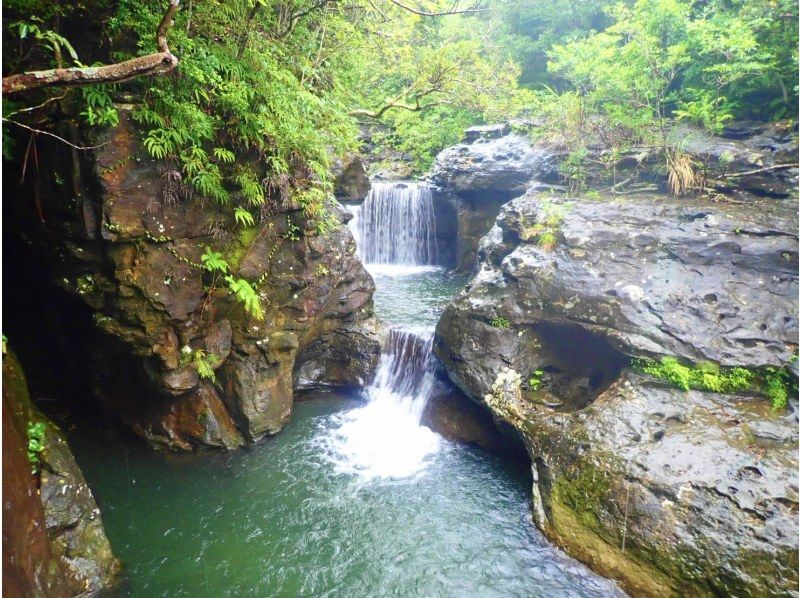 【西表島/半天】跳入河中，享受自然運動和觀景台的壯麗景色！飛濺峽谷漂流（下山谷）[免費照片資料/裝備]の紹介画像