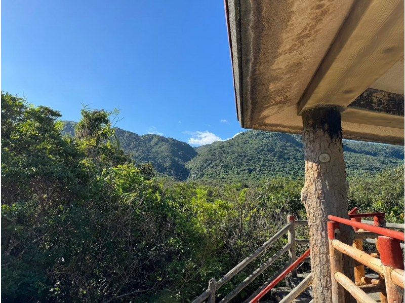 [Iriomote Island/Half-day] Jump into the river and enjoy natural athletics and a spectacular observation deck! Splash Canyoning (down the valley) [Photo data/equipment free]の紹介画像