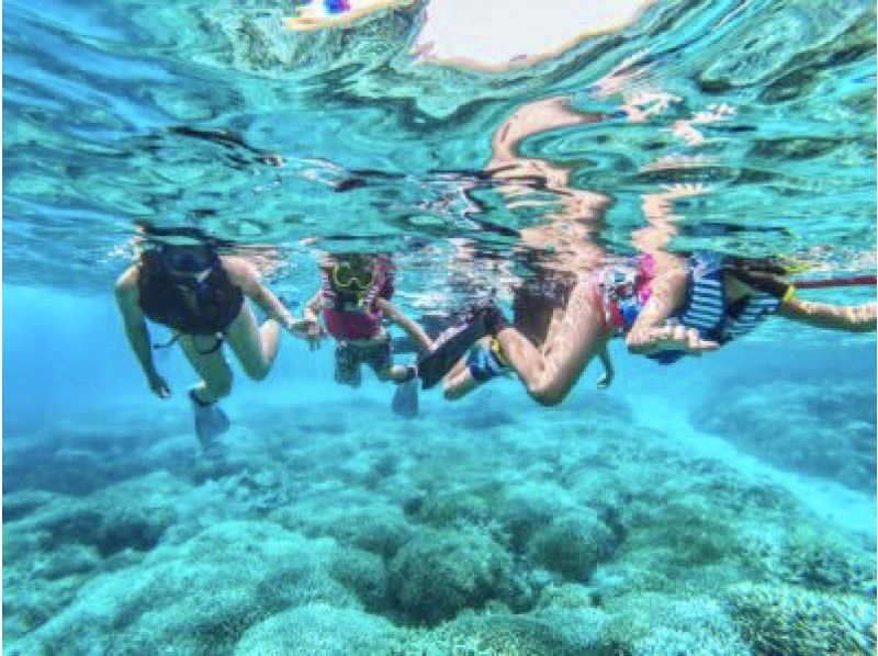 [Iriomote Island/Half day] [Half day] Underwater adventure at a world heritage site! Tropical snorkeling [Free photo data/equipment rental] Spring sale underwayの紹介画像